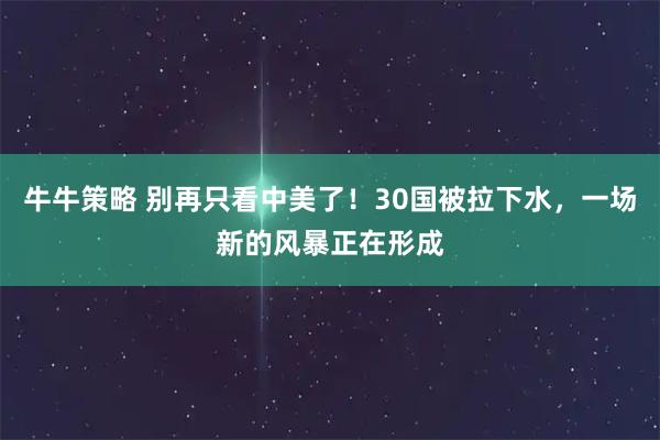 牛牛策略 别再只看中美了！30国被拉下水，一场新的风暴正在形成