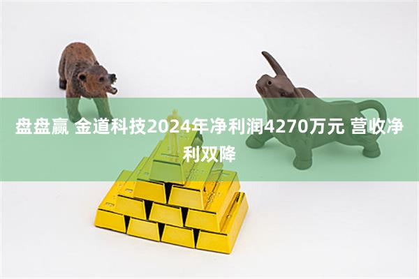 盘盘赢 金道科技2024年净利润4270万元 营收净利双降