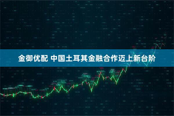 金御优配 中国土耳其金融合作迈上新台阶