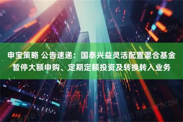 申宝策略 公告速递：国泰兴益灵活配置混合基金暂停大额申购、定期定额投资及转换转入业务