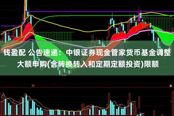 钱盈配 公告速递：中银证券现金管家货币基金调整 大额申购(含转换转入和定期定额投资)限额